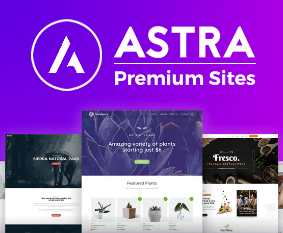 astra premium sites nulled.png astra premium sites nulled.png