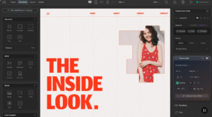 drop all in one no code builder nulled.png