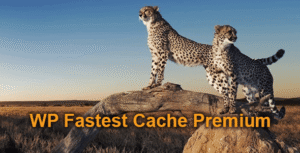 wp fastest cache premium nulled.png